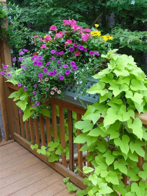 Wide thanks to its included, adjustable brackets. Lush gardens in a box! | Railing planters, Window box ...