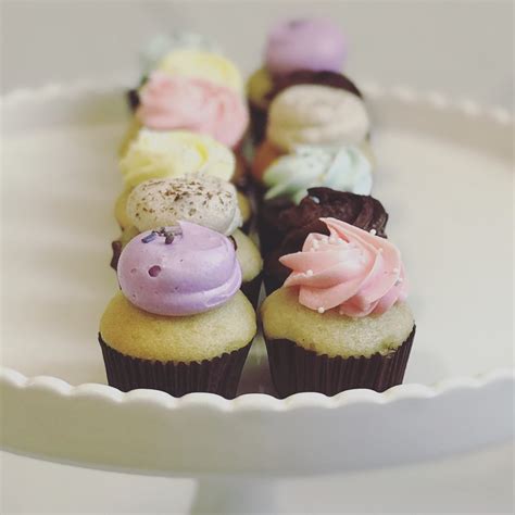 Mini Cupcakes Assorted Dozen