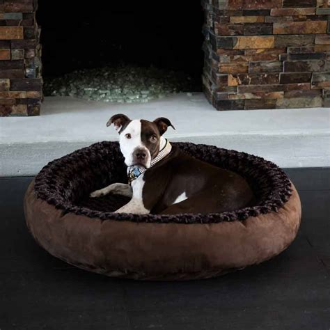 Animals Matter Katie Puff Hooded Luxury Dog Bed