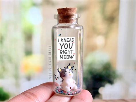 Open when letters long distance t valentines day t. Cat Anniversary Gift for Long Distance Relationship for ...