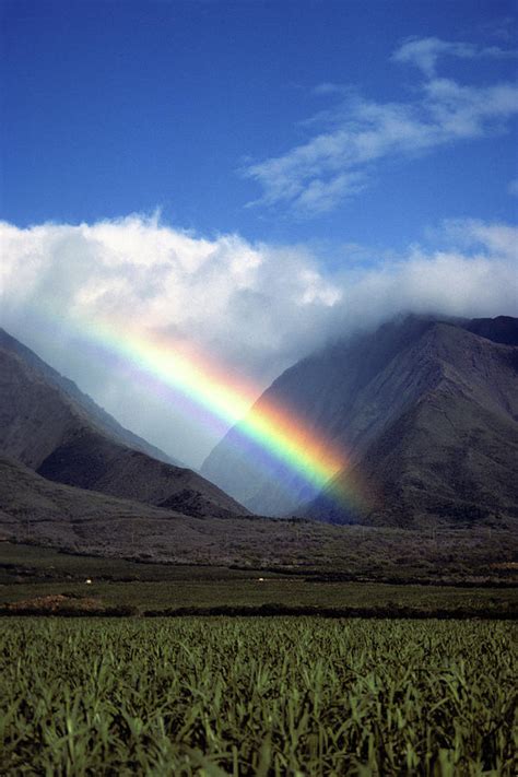 Rainbow On Maui Island Hawaii Usa Photograph By Vintage Images Fine