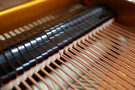 A Quoi Sert La Pedale De Gauche Sur Un Piano - A quoi servent les pédales du piano | Apprendre à jouer du piano