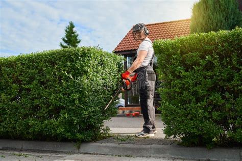 Gardener Cutting Bushes With Electric Trimming Machine Stock Image Image Of Person Hedge