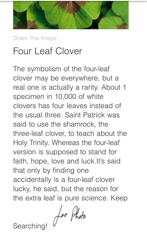 Pin By Tor Bear On Science Interesting Facts Three Leaf Clover Four
