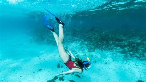 Eden Rock Grand Cayman Snorkel Review 2023 All You Need To Know