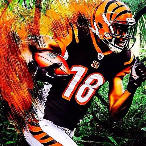 Whodey Nfl Football Teams Football Memes Welcome To The Jungle Iron