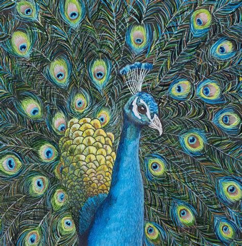 A Painting Of A Peacock Original Painting By Julie Weir