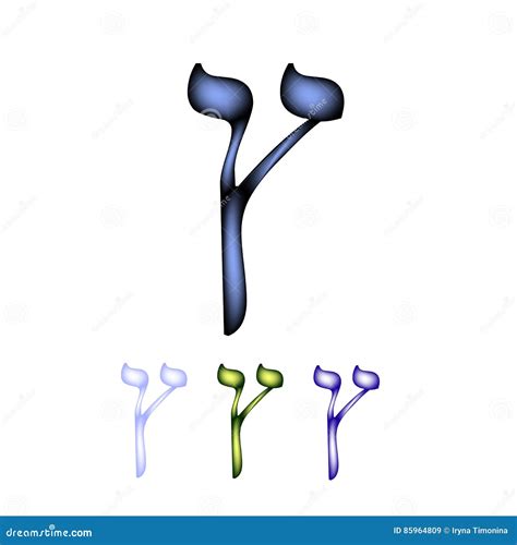 Hebrew Font The Hebrew Language The Letter Tzadik Sofit Stock Vector