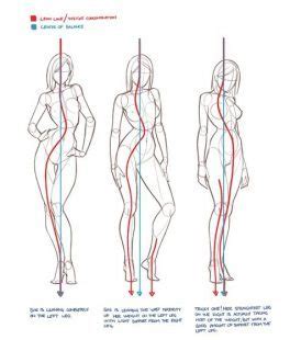 Character Design Collection: Female Anatomy