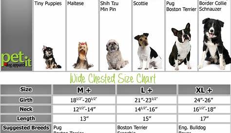 Dog clothing Size Chart: How to measure your dog to fit apparel