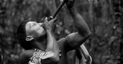 Review ‘embrace Of The Serpent Where Majesty Meets Monstrosity The