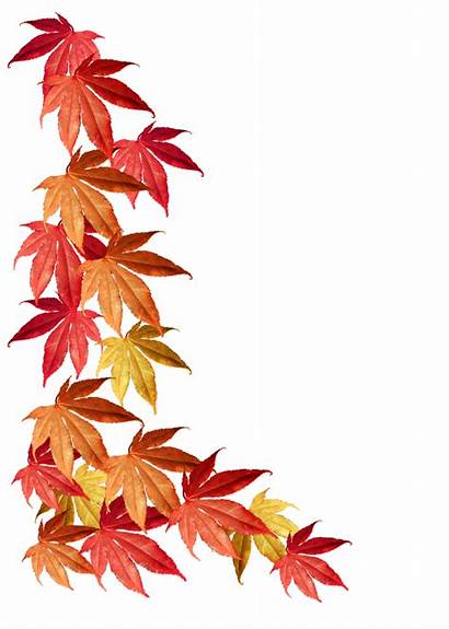 Leaves Border Fall Clipart Autumn Transparent Clip
