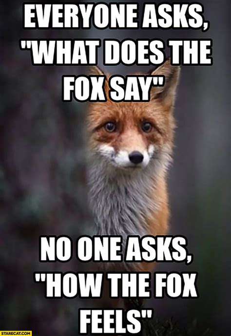 asks    fox    asks   fox feels