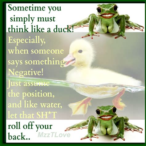 Water off a duck's back is more used in the sense of being unperturbed by criticism/bad fortune rather than not listening to good advice when it's. Pin on Thought For Today