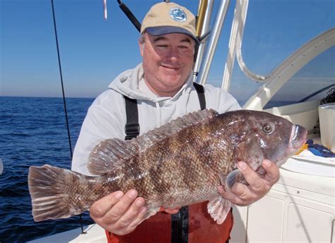 Fishing Report And Virginia Saltwater Fishing Tournament News