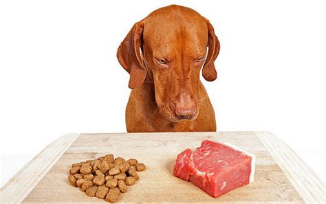 Great savings & free delivery / collection on many items. Why Raw Dog Food Is Better For Your Canine Than Commercial ...