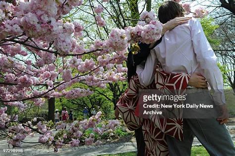 Brooklyn Botanic Garden Cherry Blossom Photos And Premium High Res