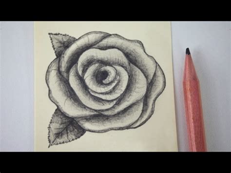 How to draw rose for beginners? How to draw a rose - free art lesson - YouTube