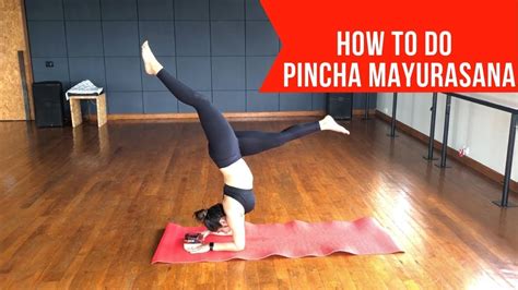 How To Do Pincha Mayurasana Forearm Balance Drills Youtube