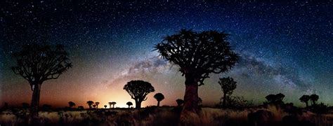 Milky Way Galaxy Over Quiver Tree Forest Earth Blog