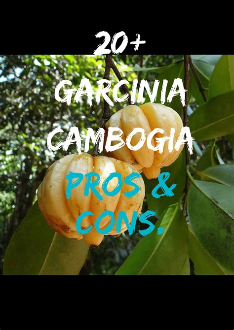 Hca is a derivative of citric acid, and is marketed as a weight loss supplement, either alone or in combination with other supplements. How to take Garcinia Cambogia for BEST results (must read ...