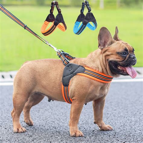 Reflective French Bulldog Pet Harness And Leash Set Cozy Mesh Dog