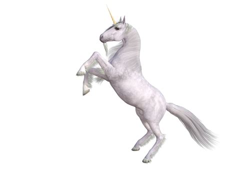 A White Unicorn Standing On Its Hind Legs