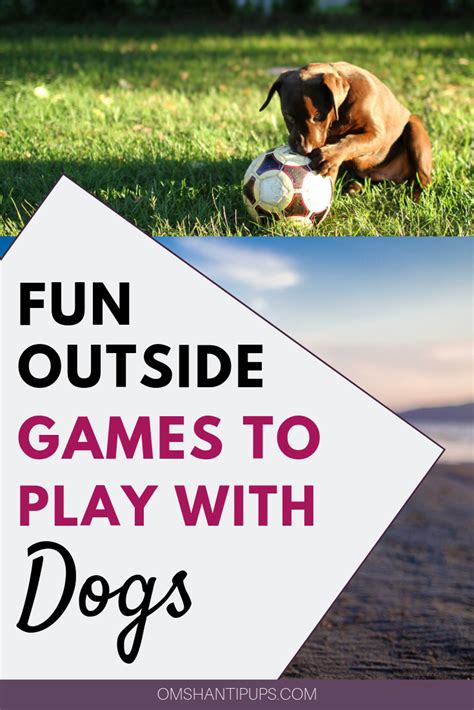 Entertaining Backyard Games To Play With Your Dog Om Shanti Pups