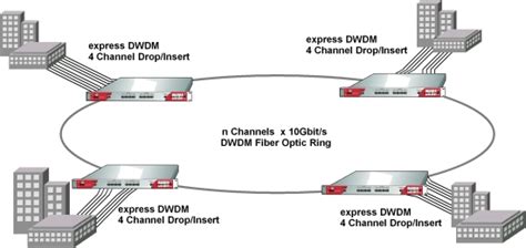 Briefly describes the main components; express DWDM Multiplexer