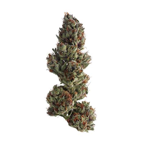 Runtz Weed Strain Information — 2one2 Dispensary
