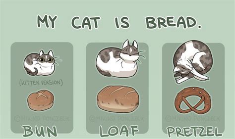Cats Are Actually Bread Bored Panda Cats Cat Bread Cute Illustration