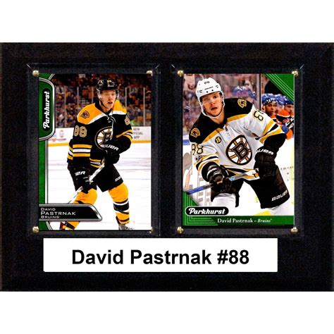 David Pastrnak Boston Bruins 6 X 8 Plaque