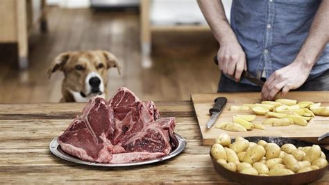 Can Dogs Eat Steak Bones? | Reference.com