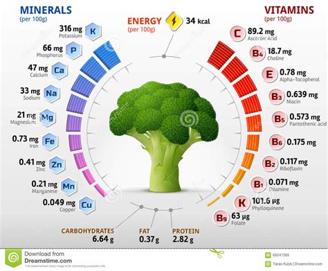 Broccoli nutrition facts are topic of this video. Myths Uncovered About Broccoli Nutrition Facts | Nutrition ...