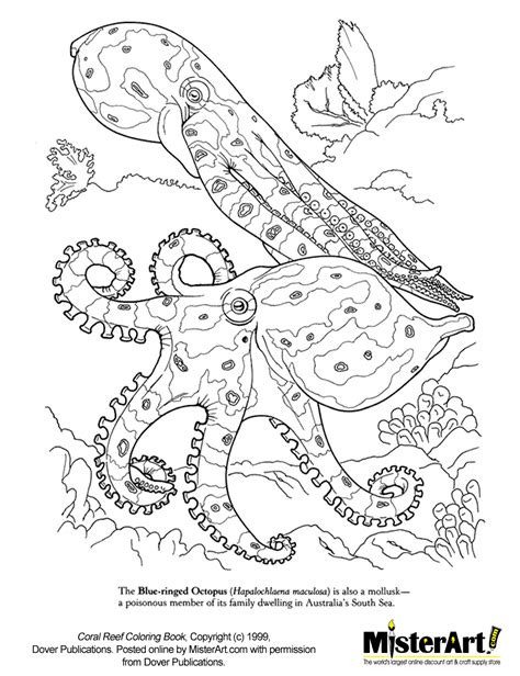 Put on your scuba diver costume, arm with colorful crayons and dive into a breathtaking underwater world to discover the wonderful colors of great barrier reef. Free Coloring Page: Coral Reef Coloring Book, Download ...