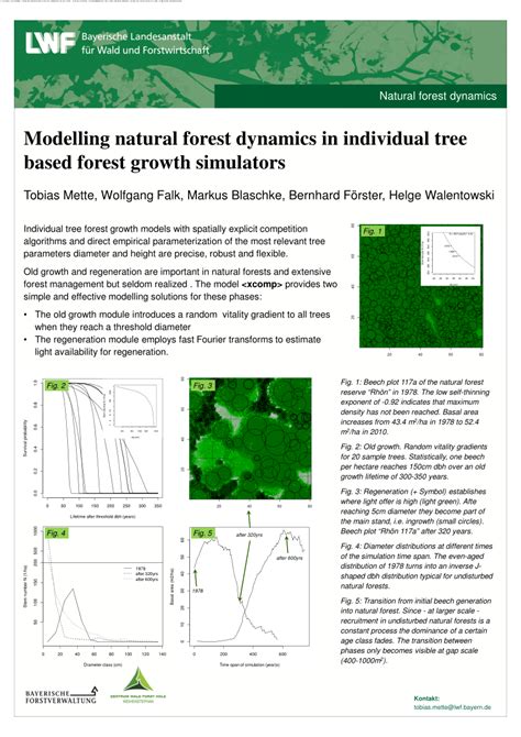 Pdf Modelling Natural Forest Dynamics In Individual Tree Based Forest