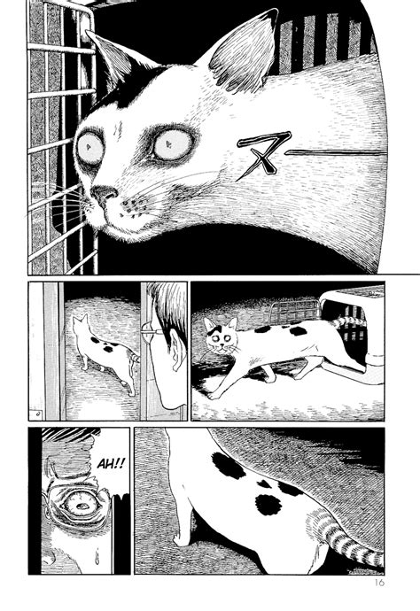 Mangá Junji Itos Cat Diary Yon And Mu Capítulo 2