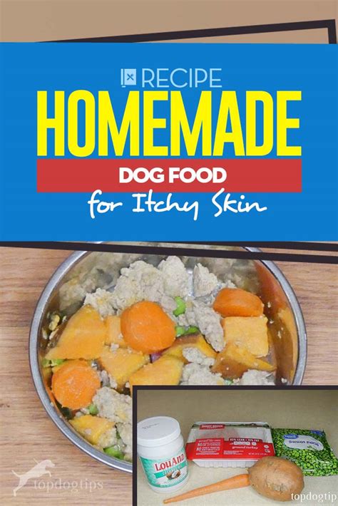 B vitamins, vitamin e, vitamin d3. Recipe: Homemade Dog Food for Itchy Skin and Skin ...