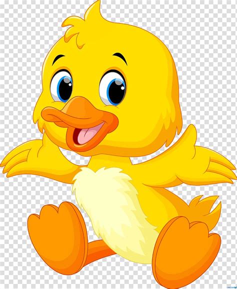 Yellow Duckling Illustration Baby Ducks Duck Transparent Background