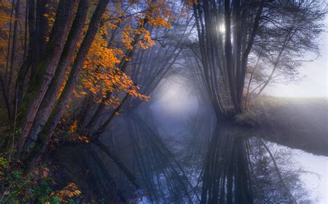 壁纸 树木 景观 森林 秋季 水 性质 反射 天空 冬季 科 日出 冷静 晚间 早上 薄雾 太阳光线 大气