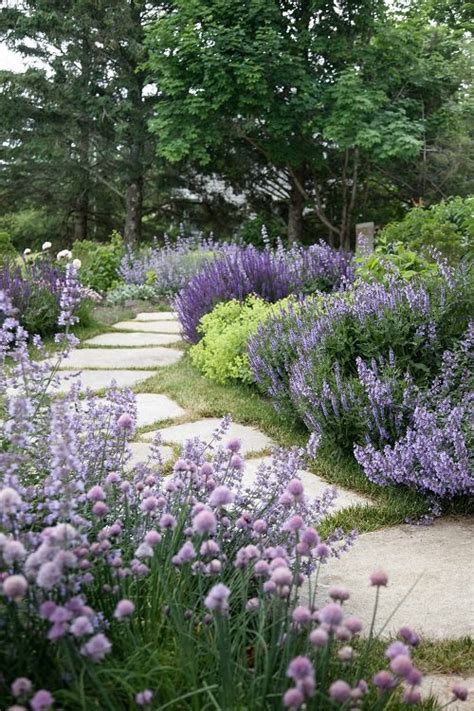 25 Lavender Garden Design Ideas Thuy San Plus