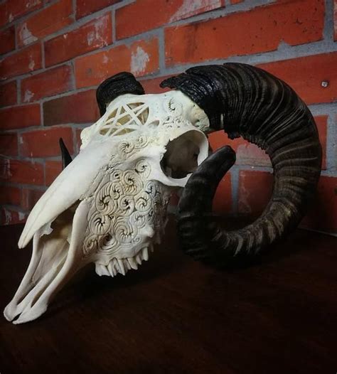 Customized Ram Skull Sheep Made To Order Carving Engraved Etsy Sheep