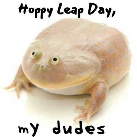 Hoppy Leap Day It Is Wednesday My Dudes Know Your Meme