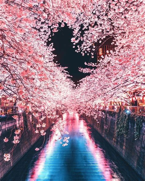 桜の名所で撮影された「奇跡の1枚」が話題！ 「これは恋愛成就しそう」「天才！」 美しい風景 綺麗 景色 旅行参考イメージまとめ