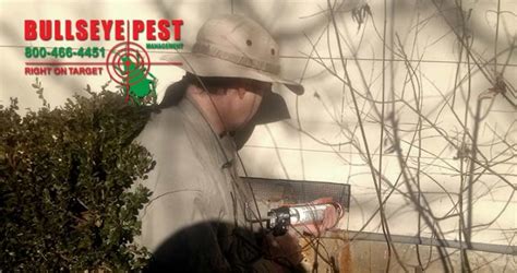 Fort worth pest & termite services is a pest elimination company with more than four decades of experience in southlake, keller, and arlington. Rodent Control Exclusion Work in Fort Worth TX | Bullseye ...