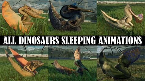 All Flying Reptiles Sleeping Animations Jurassic World Evolution 2
