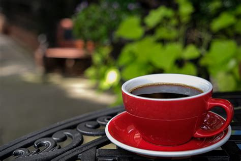 Food and Dining in Savannah, GA | Savannah Morning News