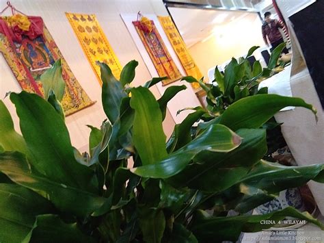 Diamkan selama 10 menit, agar kotoran yang menempel pada kaki hilang bersama dengan air garam. AMIE'S LITTLE KITCHEN: Rendam Kaki dengan Herba Perubatan ...