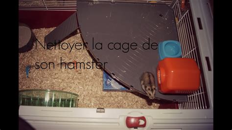 Toutes Les étapes Pour Nettoyer La Cage De Son Hamster Youtube