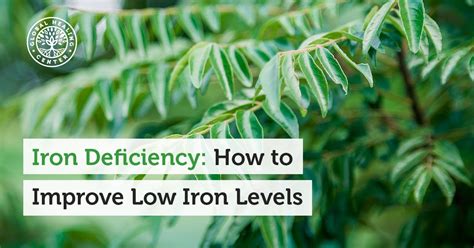 Iron Deficiency How To Improve Low Iron Levels